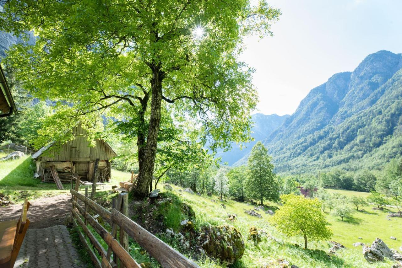 Alpine House Antonia Villa Trenta Exterior photo