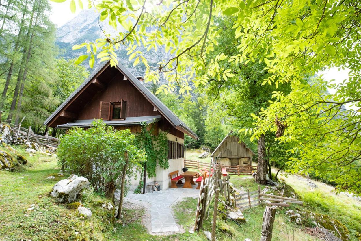 Alpine House Antonia Villa Trenta Exterior photo