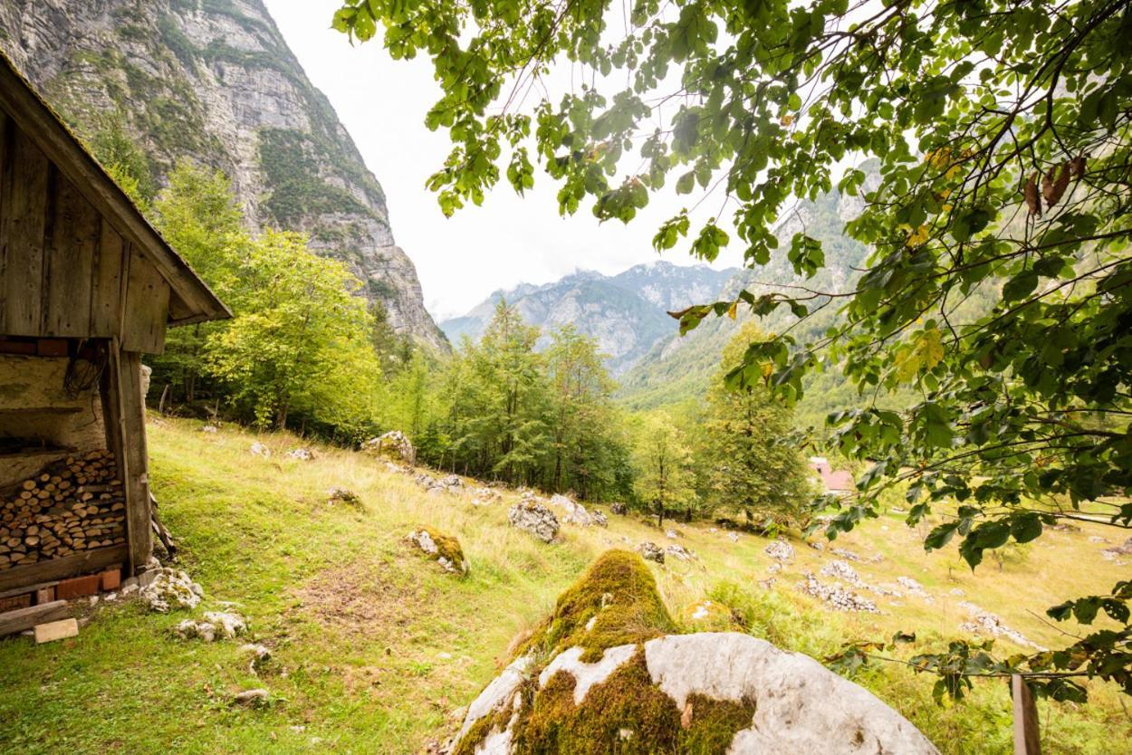 Alpine House Antonia Villa Trenta Exterior photo