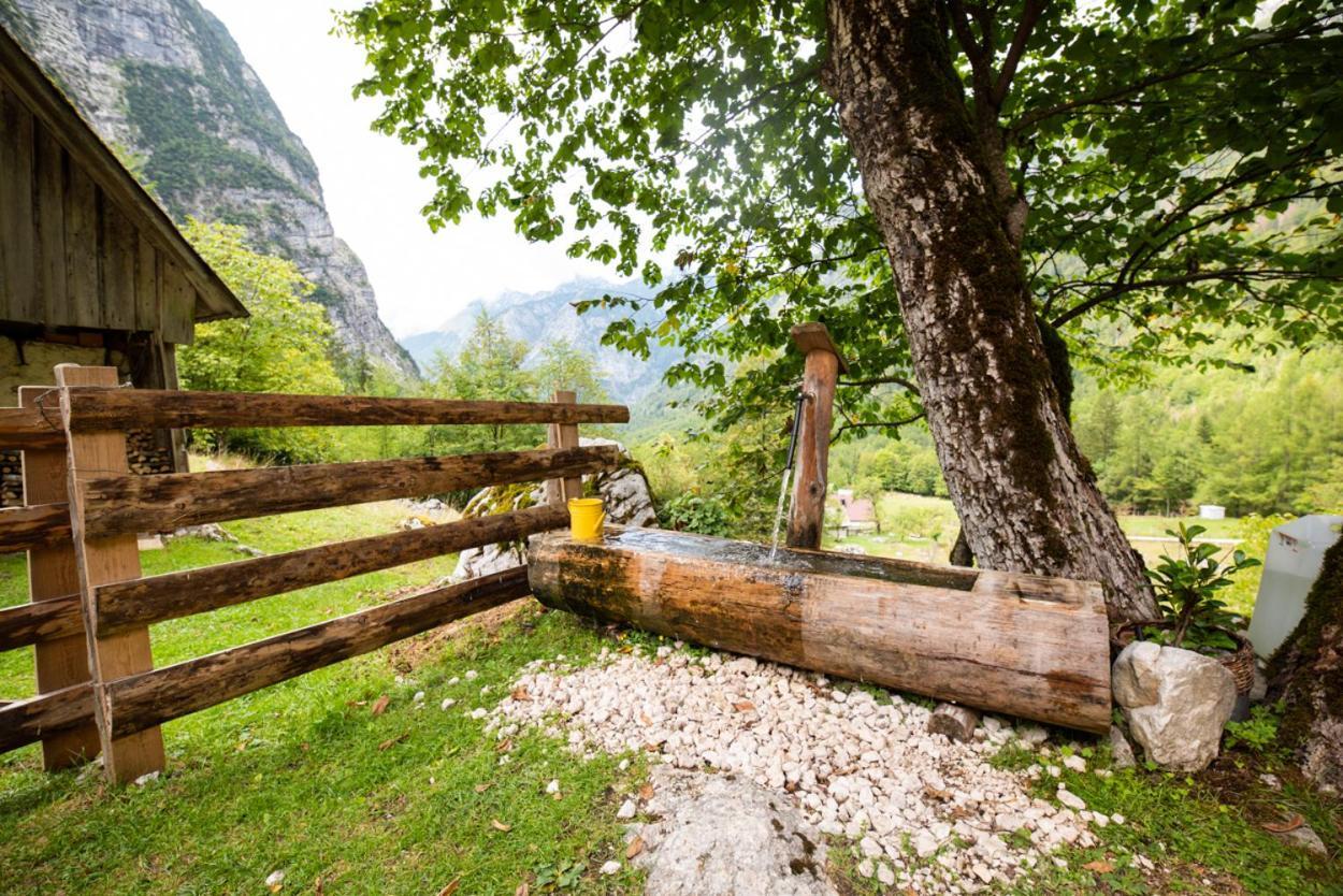 Alpine House Antonia Villa Trenta Exterior photo